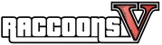 Raccoons V, serveur GTA RP français semi sérieux sur FiveM avec économie immersive et whitelist rapide